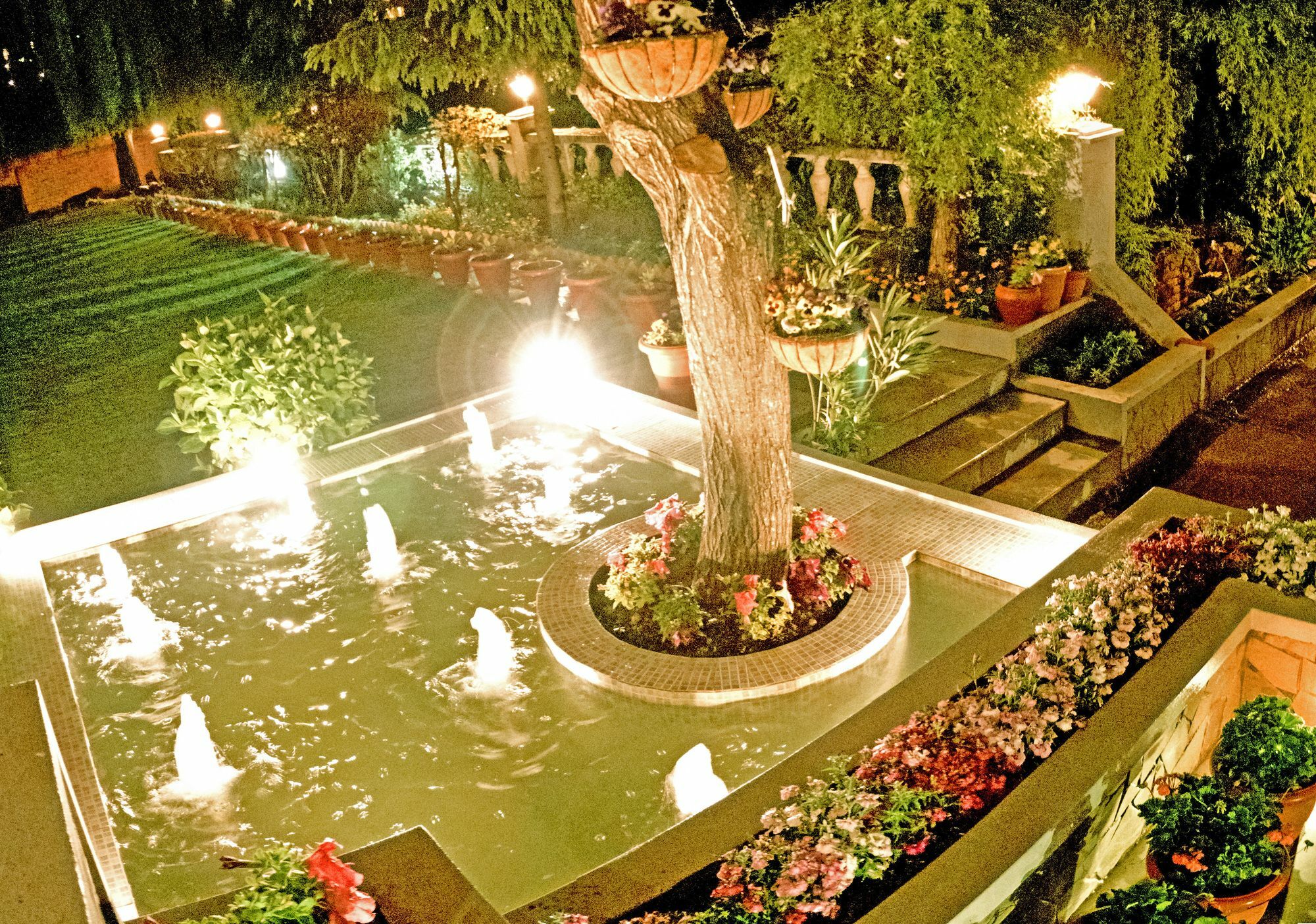 Royal Jardin Whistling Pines Resort Σίμλα Εξωτερικό φωτογραφία